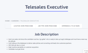 Telesales Executive work from home job 