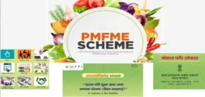 MOFP-pm fme scheme details
