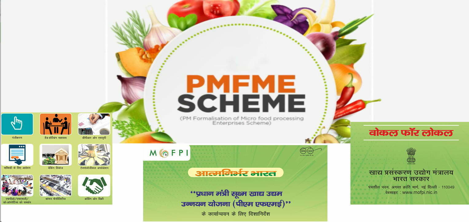PM अन्नप्रक्रिया उद्योग योजनाPMFME SCHEME 2021 icoNik Marathi