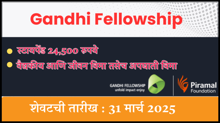 Gandhi Fellowship
